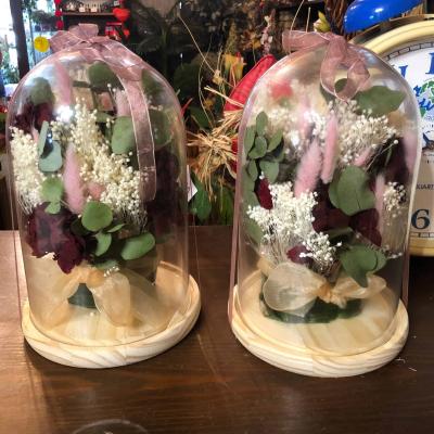 1478e2f5 3f60 4c49 9687 Db2ed3fbc9ef 1
